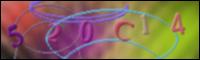 Chargement de l'image