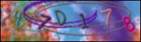 Chargement de l'image
